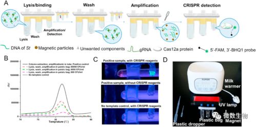 在家自己做核酸檢測 蕭山公司創新產品引領便捷檢測新潮流，計算機軟硬件協同實現1小時快速檢測